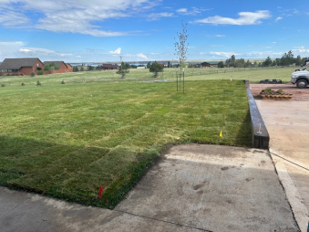 Lawn Maintenance